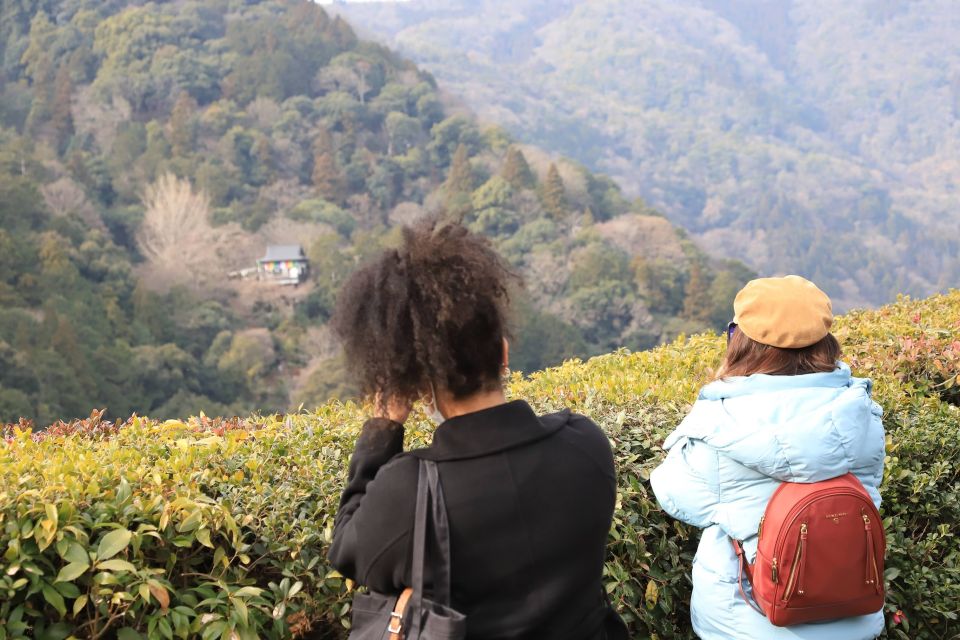 Kyoto: Arashiyama Bamboo Forest Walking Food Tour - Inclusions and Accessibility Information