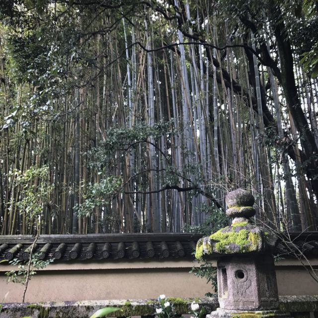 Kyoto: City Secrets Ebike Tour - Activity Details