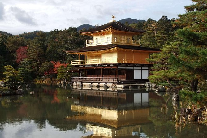 Kyoto Custom Half Day Tour - Cancellation Policy