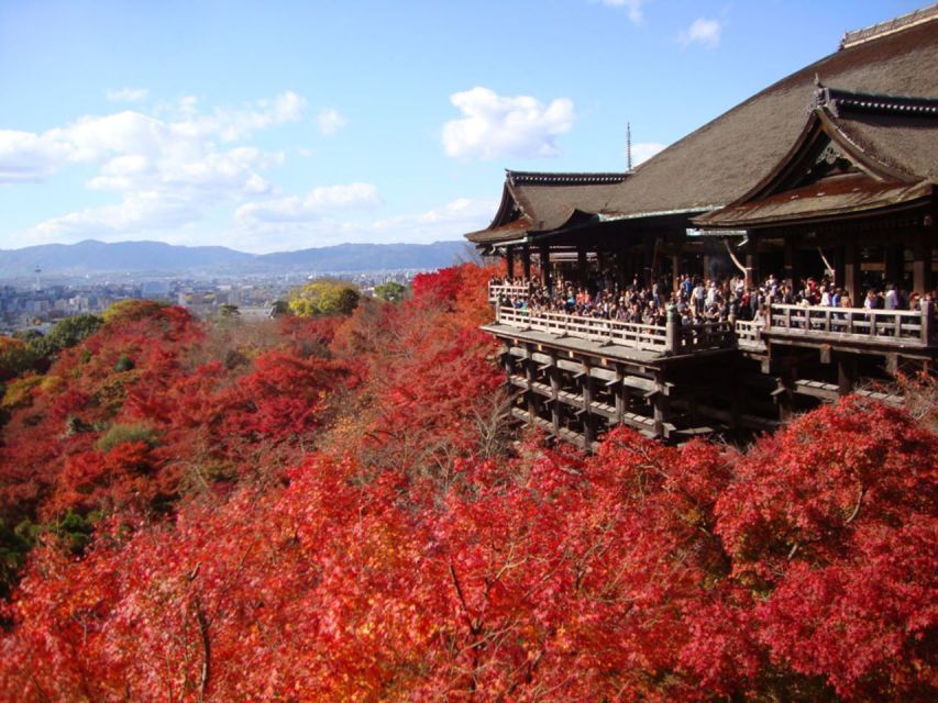 Kyoto: Full-Day Best UNESCO and Historical Sites Bus Tour - Transportation and Amenities