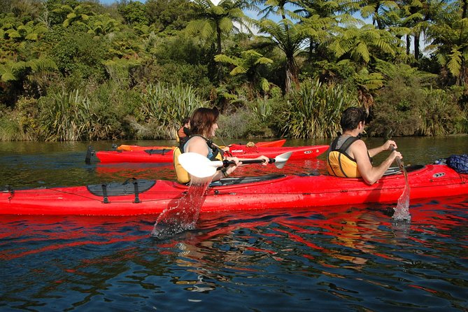 Lake Rotoiti Guided Hot Pools Kayak Trip - Pickup Points and Transportation