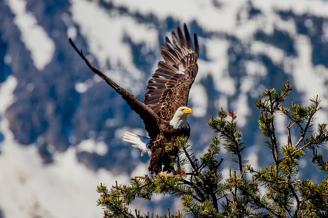 Lake Tahoe Small-Group Photography Scenic Half-Day Tour - Tour Guide Appreciation