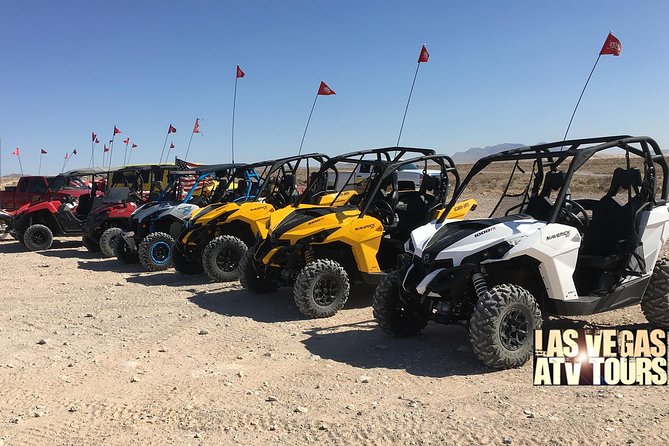 Las Vegas UTV / Buggys Tours - Requirements and Policies to Note
