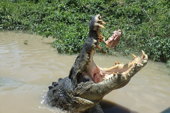 Litchfield and Jumping Crocodiles Full Day Trip From Darwin - Customer Feedback