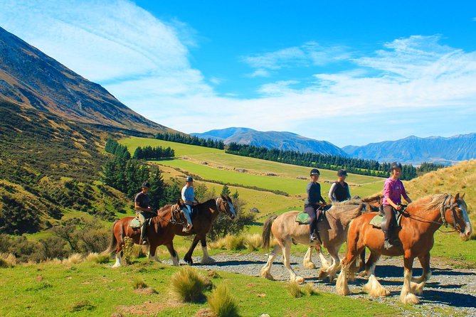 Lord of the Rings High Country Station Pioneering Experience & Scenic Day Tour - Reviews and Traveler Resources