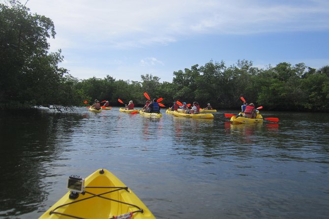 Lovers Key Guided Eco Tour-Mangrove Estuary - Common questions
