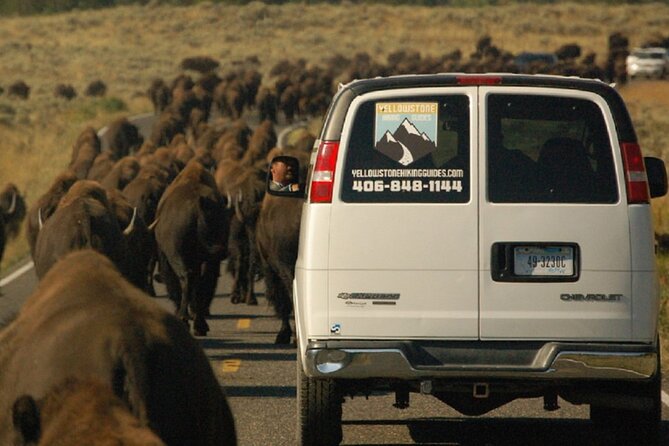 Lower Loop Van Tour From West Yellowstone: Grand Prismatic and Old Faithful - Booking and Pricing