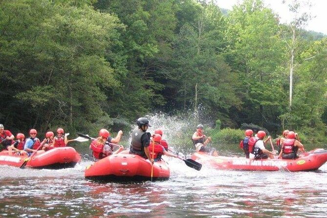 Lower Pigeon River Rafting Tour - Safety Guidelines