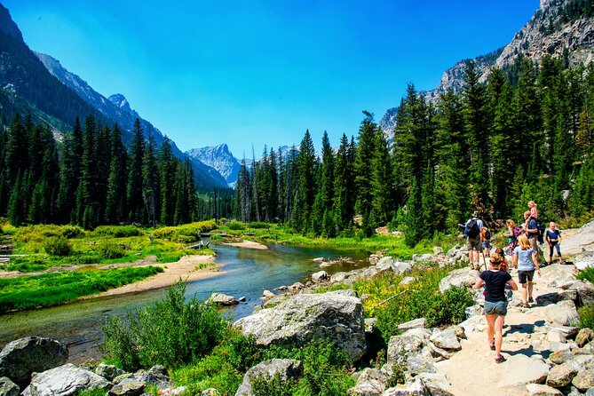 Luxury Private Half-Day Grand Teton National Park Tour - What to Bring for the Tour