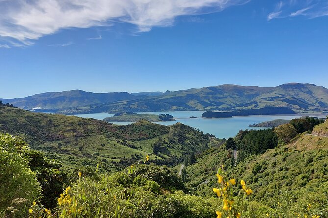 Lyttelton Shore Excursion: Christchurch Sightseeing With Jet Boating - Tour Highlights and Recommendations