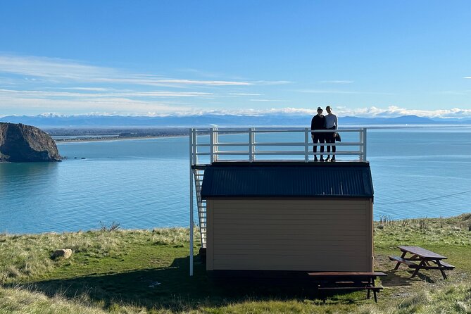 Lyttelton Shore Excursion - Guided Walking Tour and Picnic - Booking Information