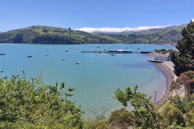 Lyttelton Shore Excursion: Twin Harbour Tour (Lyttelton & Akaroa) - Itinerary Details