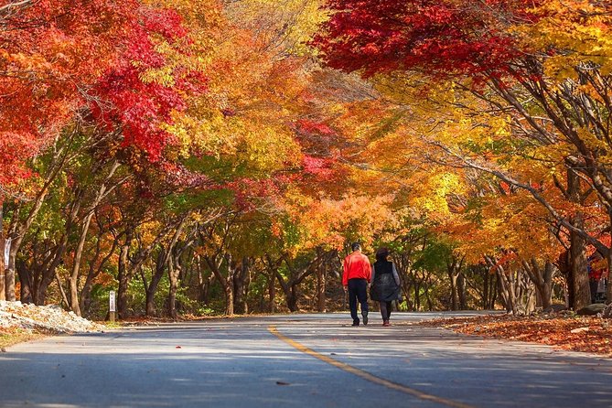 Magnificent Naejangsan National Park Autumn Foliage Tour From Seoul - Important Information