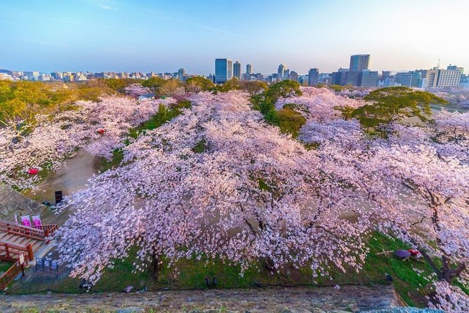 Maizuru Full-Day Private Tour With Government-Licensed Guide - Refund Policy Information