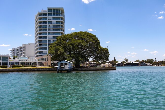 Mandurah Sunset Cruise - Appreciate the Beauty of Wild Birds