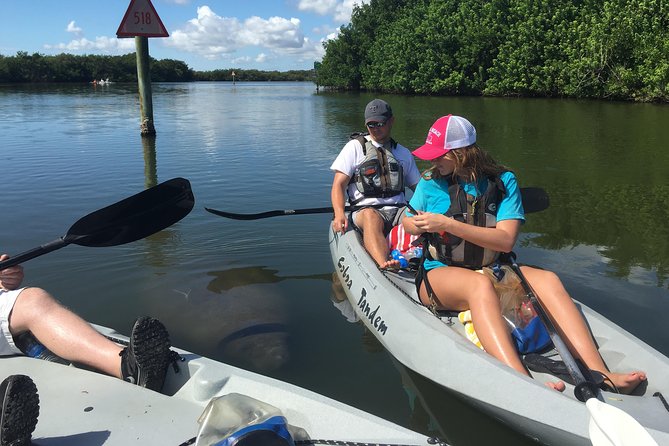Mangrove Tunnels, Manatee, and Dolphin Sunset Kayak Tour With Fin Expeditions - Tour Highlights and Wildlife Encounters