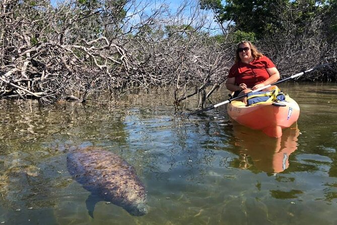 Mangroves and Manatees - Guided Kayak Eco Tour - Customer Recommendations