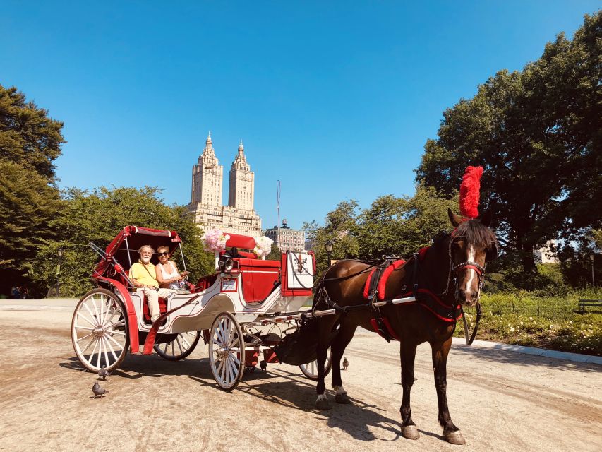 Manhattan: VIP Private Horse Carriage Ride in Central Park - Booking Information