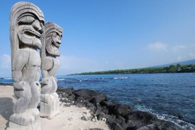 Manta Ray Night Snorkel at Kona, Big Island - Customer Reviews and Feedback
