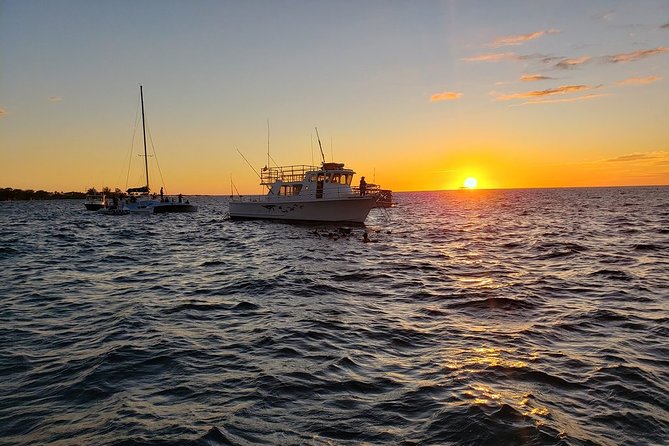 Manta Ray Night Snorkel in Kona - Booking Experiences