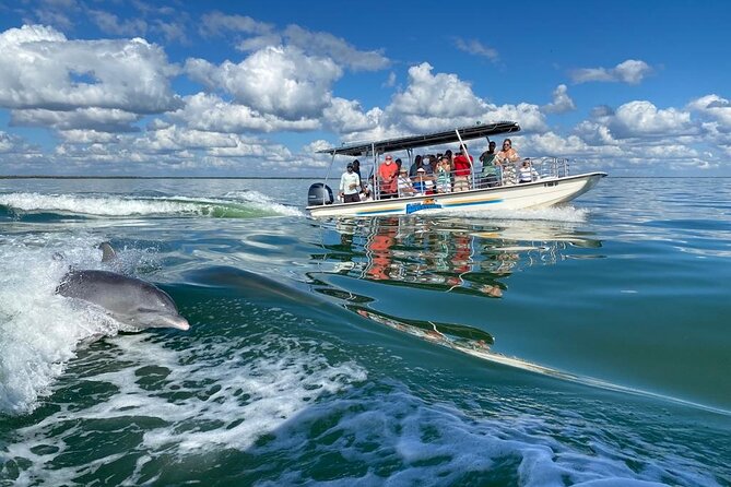 Marco Island Dolphin Sightseeing Tour - Exceptional Service Quality
