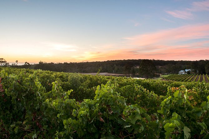 Margaret River Indulge and Discover Day Tour - Booking Information