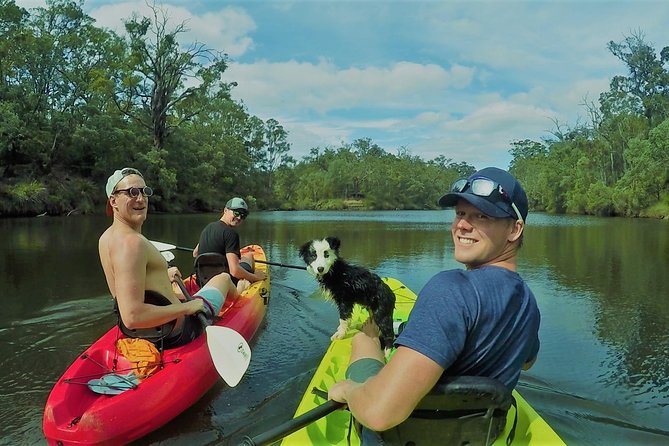 Margaret River Kayaking and Winery Tour - Traveler Experience