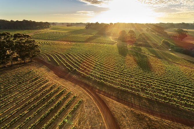 Margaret River Scenic Flight to Leeuwin Estate Winery From Perth - Sum Up