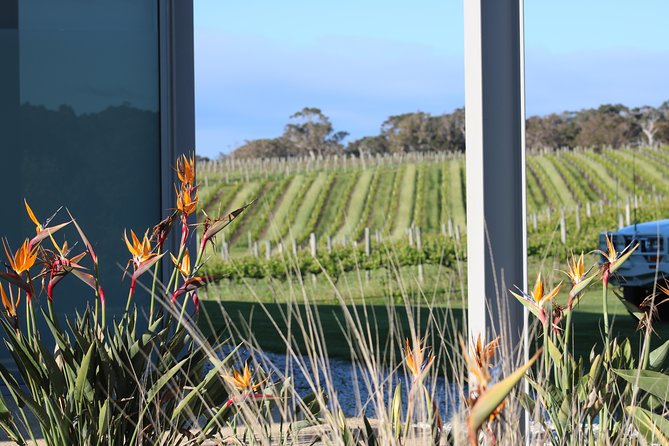 Margaret River Wine and Sights Discovery Tour From Busselton or Dunsborough - Traveler Reviews