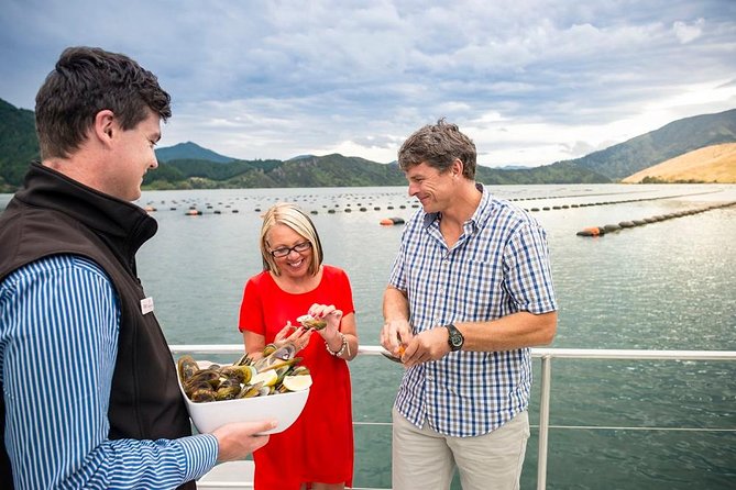Marlborough Sounds Greenshell Mussel Tasting Cruise - Important Additional Information
