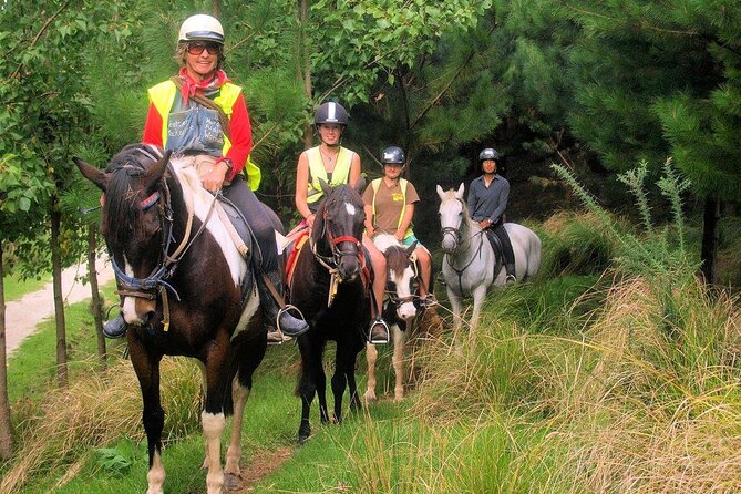 Matakana Art & Horse Riding Experience Private Tour From Auckland - Safety Measures