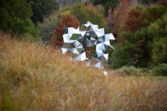 Matakana Art & Vineyard Experience Incl. Lunch & Wine Tasting Tour From Auckland - Wine Tasting Sessions