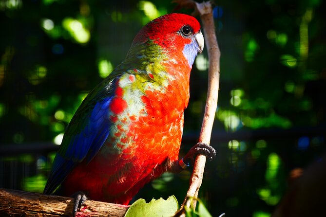 Matakana Sculptureum Gardens and Gallery Admission  - Auckland - Pricing and Booking Details