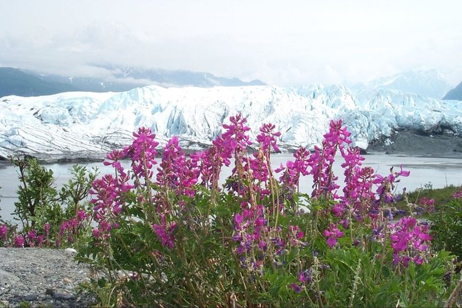 Matanuska Glacier Summer Tour - Traveler Reviews