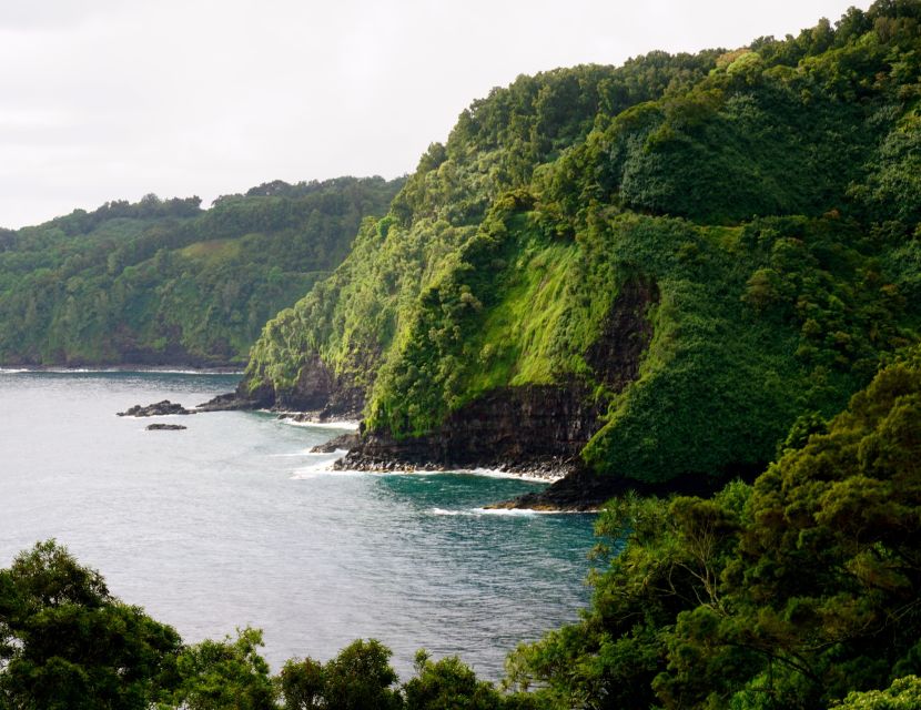 Maui: Private Guided Halfway to Hana Tour - Inclusions