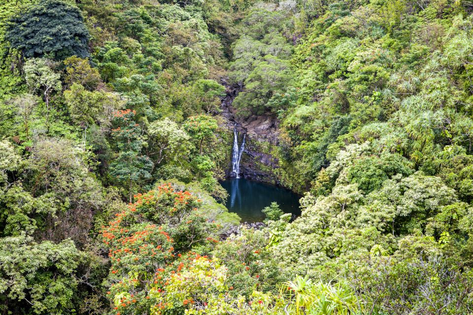 Maui: Small-Group Road to Hāna Sightseeing Tour - Additional Details