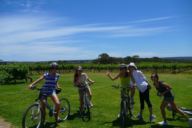 McLaren Vale Wine Tour by Bike - Customer Feedback