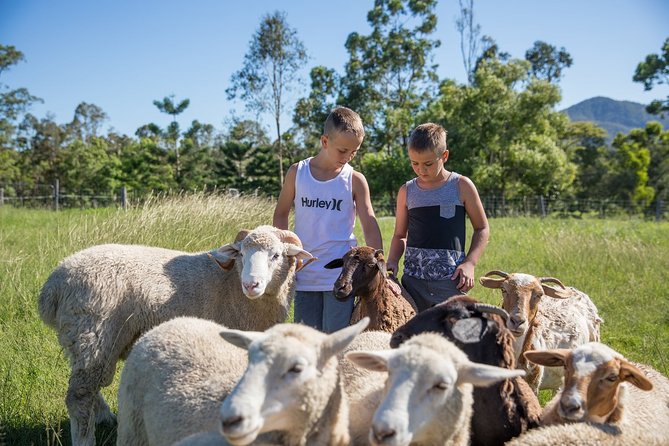 Meet the Animals: Small-Group Farm Tour, Brisbane - Common questions