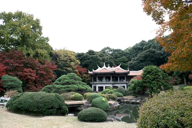 Meiji Jingu Shrine Half-Day Tour by Public Transportation - Destination Details