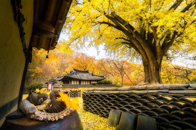 Memorable Autumn Foliage Random Tour (From Busan) - Common questions