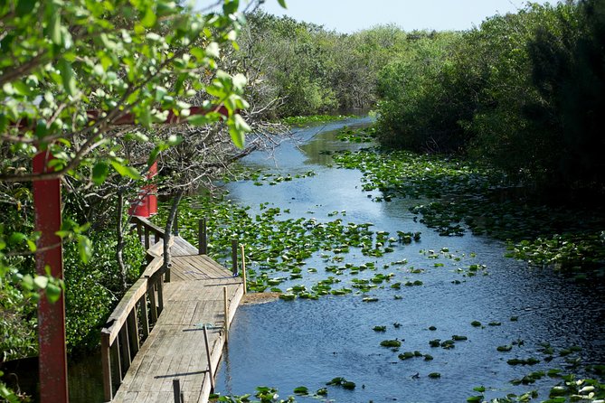 Miami Everglades: Airboat Tour, Wildlife Show, and Roundtrip Bus - Common questions