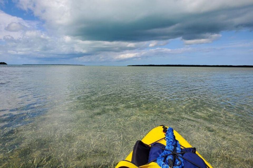 Miami: Everglades National Park Hiking and Kayaking Day Trip - What to Bring