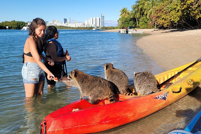 Miami: Kayak or SUP Island and Wildlife Tour - Mid-Tour Break