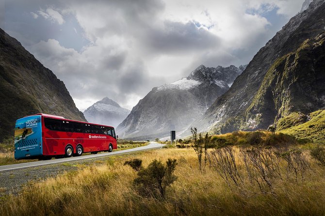 Milford Sound Coach and Nature Cruise With Buffet Lunch From Te Anau - Criticisms and Recommendations