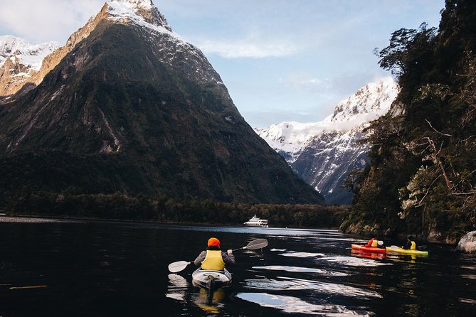 Milford Sound Overnight Cruise Fiordland Jewel - Reviews and Pricing