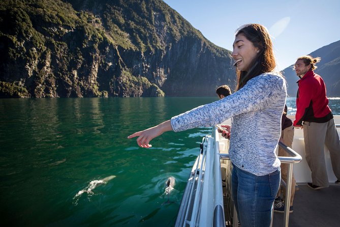 Milford Sound Sightseeing Cruise With Optional Picnic or Buffet - Cruise Experience