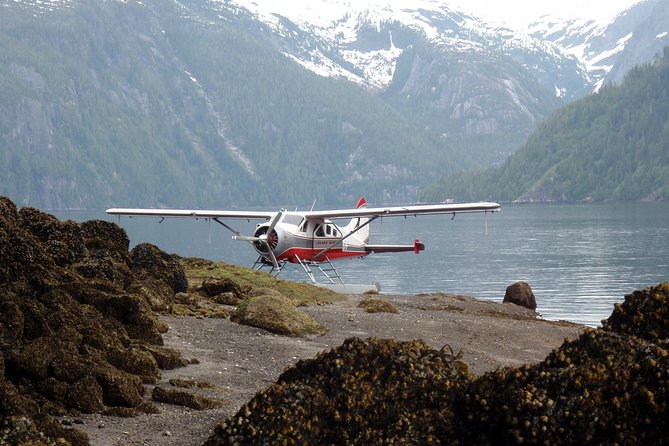 Misty Fjords Seaplane Tour - Customer Reviews