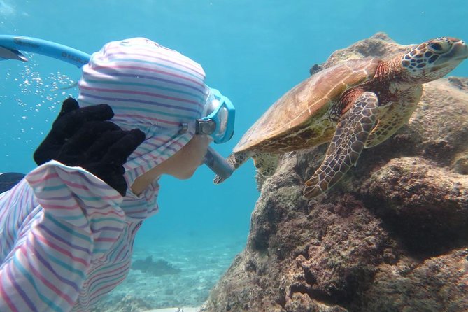 [Miyakojima Snorkel] Private Tour From 2 People Lets Look for Sea Turtles! Snorkel Tour That Can Be - Questions and Assistance