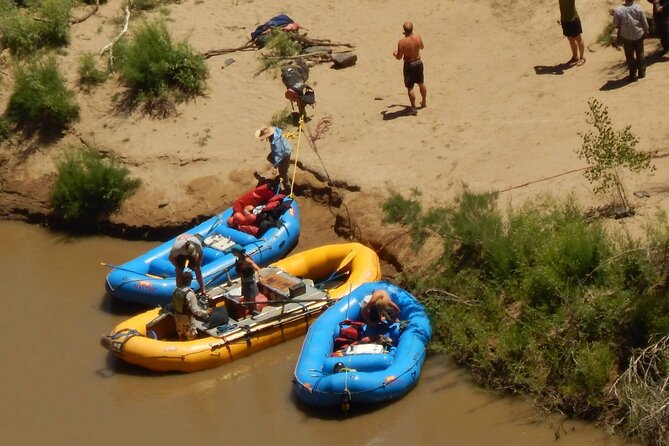 Moab Combo: Colorado River Rafting and Canyonlands 4X4 Tour - Visitor Satisfaction and Recommendations