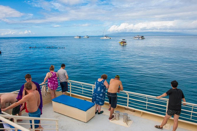 Molokini and Turtle Arches Snorkeling Trip From Maalaea Harbor - Additional Information